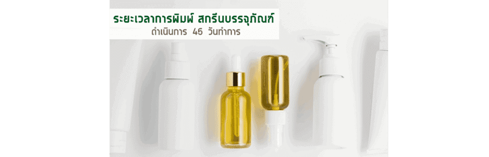 ระยะเวลาการพิมพ์สกรีน